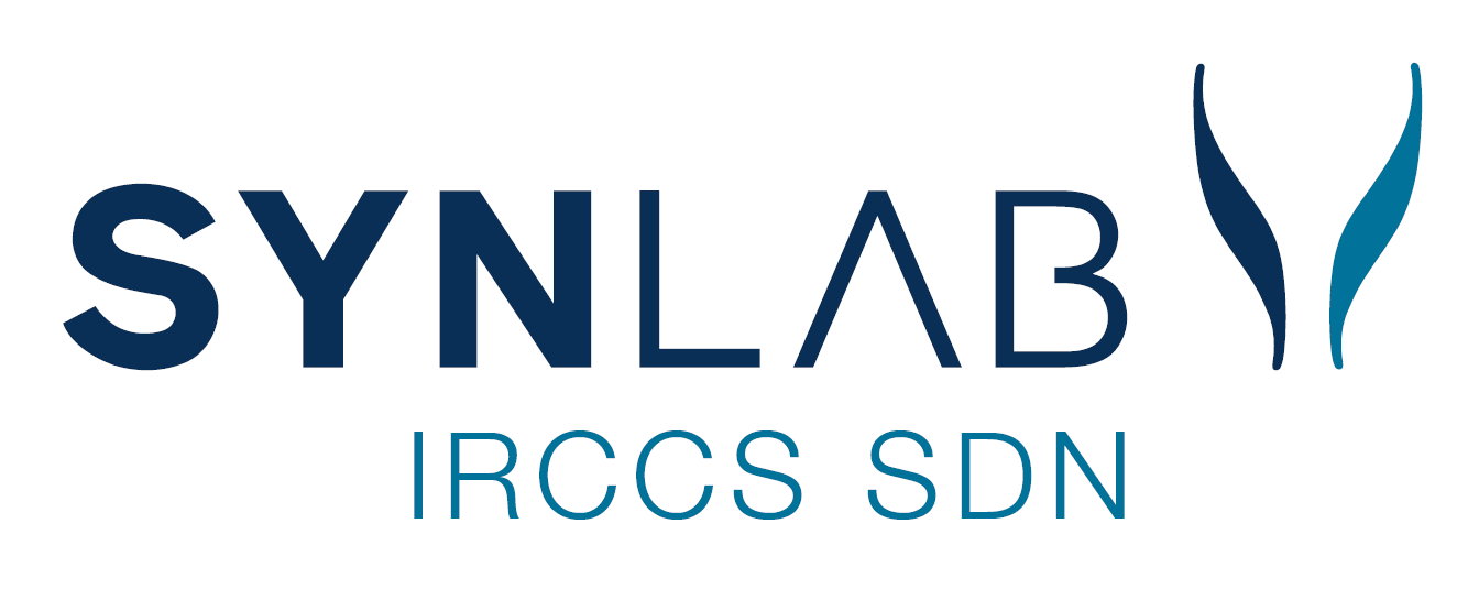 IRCCS SDN标识