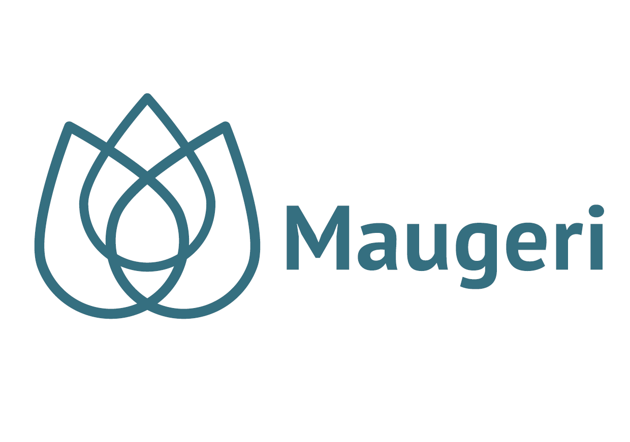 Logo of IRCCS Maugeri